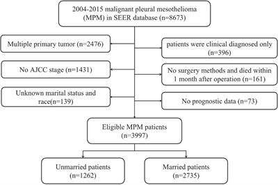 Marital status as an independent prognostic factor for patients of malignant pleural mesothelioma